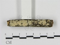 登錄號:F0009292藏品圖，第1張