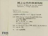 登錄號:F0009294藏品圖，第2張