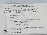 登錄號:F0009297藏品圖，第2張