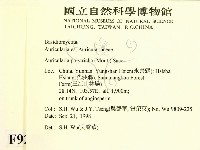 毛木耳藏品圖，第2張