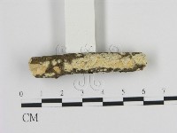 登錄號:F0009300藏品圖，第1張