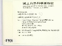 毛木耳藏品圖，第2張