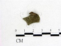 毛木耳藏品圖，第3張