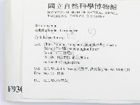 柱擔菌屬藏品圖，第2張