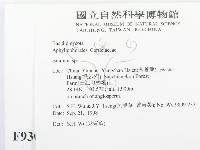 登錄號:F0009305藏品圖，第2張