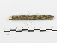 登錄號:F0009305藏品圖，第3張