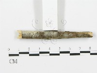 登錄號:F0009305藏品圖，第4張