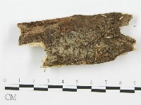 登錄號:F0009306藏品圖，第1張