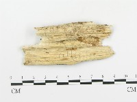 登錄號:F0009306藏品圖，第3張
