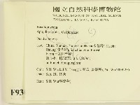 登錄號:F0009307藏品圖，第2張