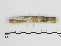 登錄號:F0009307藏品圖，第1張