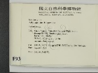 登錄號:F0009308藏品圖，第2張