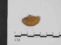 登錄號:F0009308藏品圖，第1張