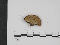 登錄號:F0009308藏品圖，第3張