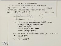 登錄號:F0009309藏品圖，第2張