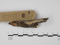 登錄號:F0009309藏品圖，第3張