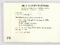 登錄號:F0009312藏品圖，第2張