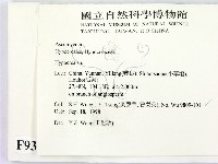 登錄號:F0009313藏品圖，第2張