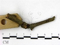 登錄號:F0009314藏品圖，第3張