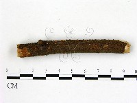 登錄號:F0009316藏品圖，第3張