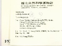 登錄號:F0009317藏品圖，第2張