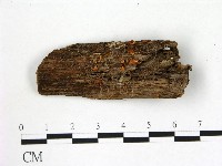 登錄號:F0009317藏品圖，第1張