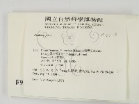 登錄號:F0009318藏品圖，第2張