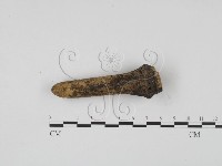 登錄號:F0009318藏品圖，第1張