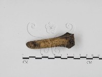 登錄號:F0009318藏品圖，第4張