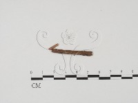 登錄號:F0009320藏品圖，第3張