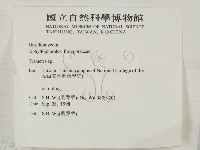 栓菌屬藏品圖，第2張