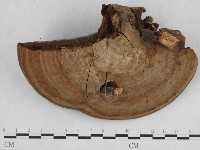 登錄號:F0009322藏品圖，第1張