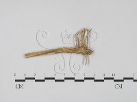 登錄號:F0009323藏品圖，第3張