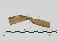 登錄號:F0009326藏品圖，第1張