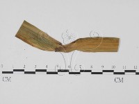 登錄號:F0009326藏品圖，第3張