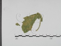 登錄號:F0009329藏品圖，第1張