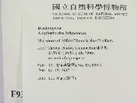 登錄號:F0009330藏品圖，第2張