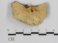 登錄號:F0009330藏品圖，第3張