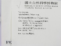 相鄰小孔菌藏品圖，第2張