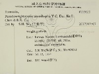 登錄號:F0009332藏品圖，第2張