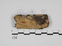 登錄號:F0009332藏品圖，第1張