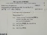 登錄號:F0009333藏品圖，第2張