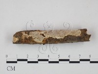 登錄號:F0009333藏品圖，第3張