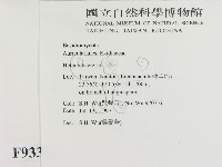 刺皮菌屬藏品圖，第2張