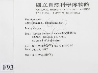 筍殼菌屬藏品圖，第2張