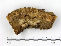 登錄號:F0009339藏品圖，第1張