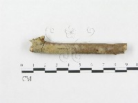 登錄號:F0009341藏品圖，第1張