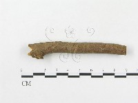 登錄號:F0009341藏品圖，第4張