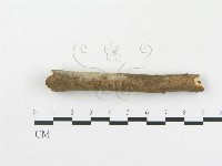 登錄號:F0009341藏品圖，第5張