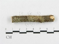 登錄號:F0009342藏品圖，第4張